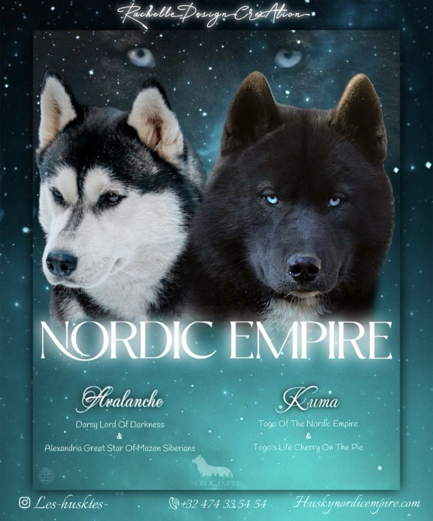 Of The Nordic Empire - Siberian Husky - Portée née le 19/07/2025